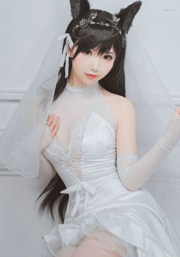 沧元图全集免费